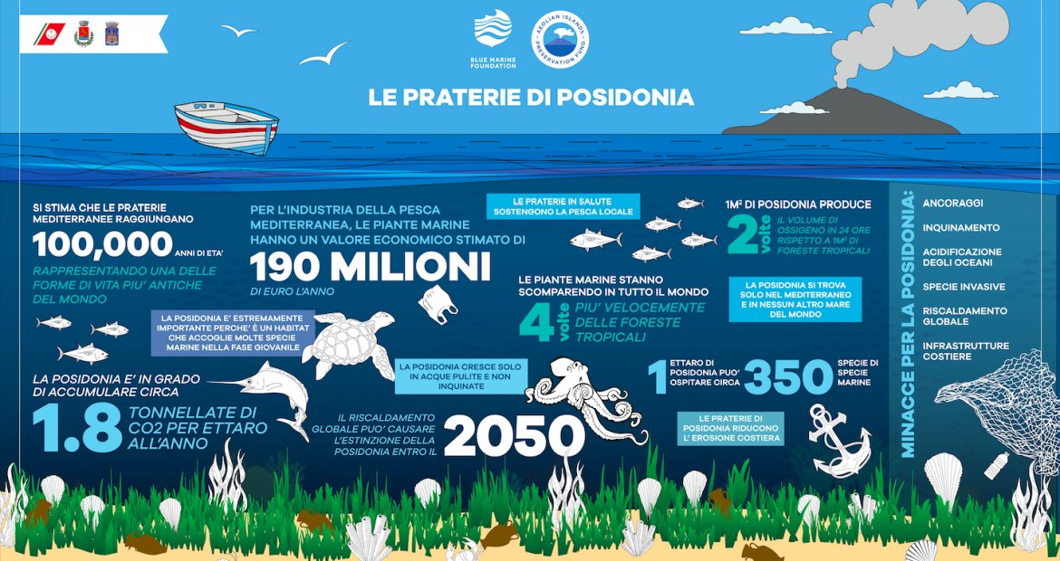 Grazie @MarevivoOnlus 💙 #PrateriediPosidonia #retefantasma #ghostnets