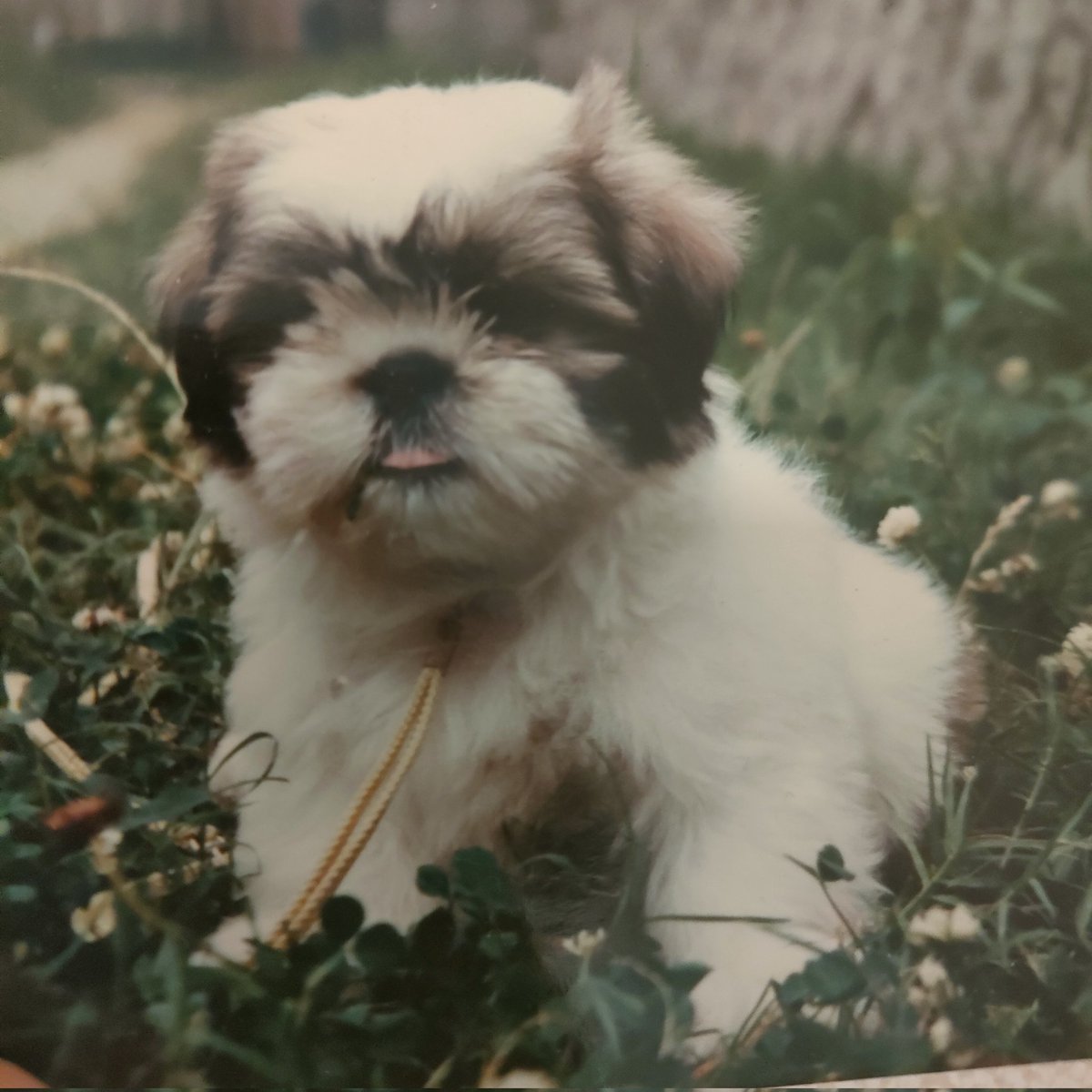 mukkubebe's tweet photo. #新しいプロフィール画像 https://t.co/gjBousTAsu