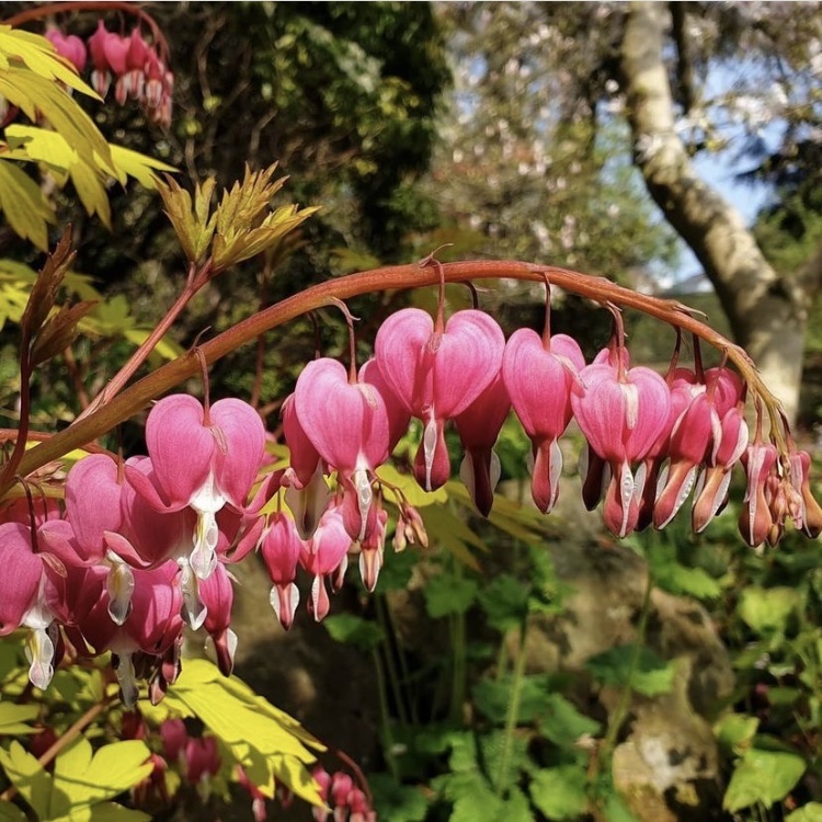 Edgbaston Village tweet media