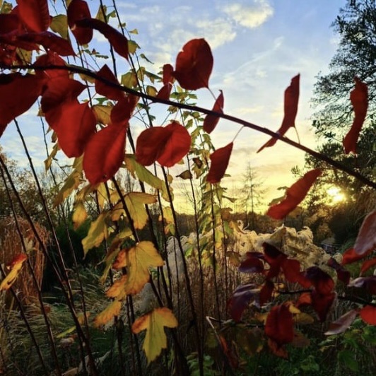 Edgbaston Village tweet media