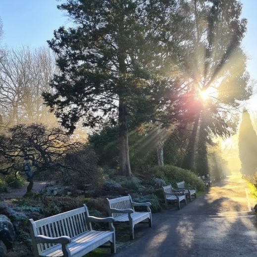 Edgbaston Village tweet media