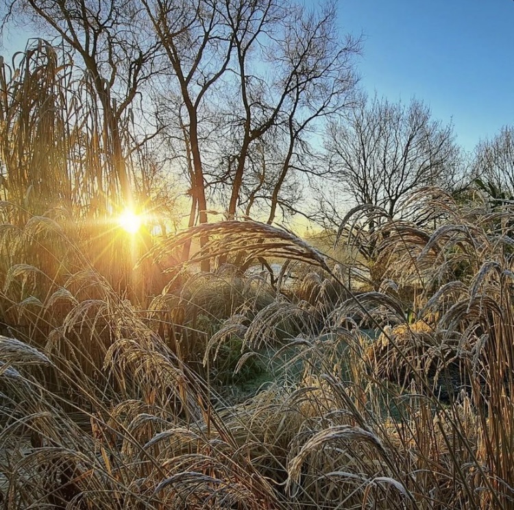 Edgbaston Village tweet media