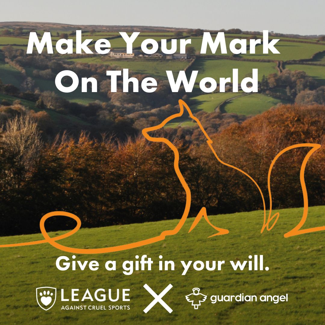 LeagueACS's tweet photo. Have you been meaning to write your will for a while?
We’ve partnered with expert will writers, @guardianangelnetwork, to offer you the chance to #WriteYourWill for FREE today.
https://t.co/zyw73VTlgi
Make your mark on the world today.
#MakeYourMarkOnTheWorld https://t.co/tzBR60qxu2