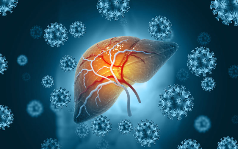 jimweb's tweet image. JIM.fr - Identification « agnostique » d’un nouveau virus dans la famille des circovirus  jim.fr/2FDBB #virus #circovirus