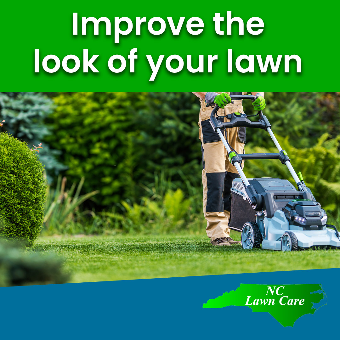 Winter lawn care is just as important as other seasons, and we can tailor treatments based on the type of grass you have. Give us a call if you want your lawn to look its best. We can make it greener than ever before! Contact us today for a Free Estimate! ow.ly/oiNJ50MBBMV