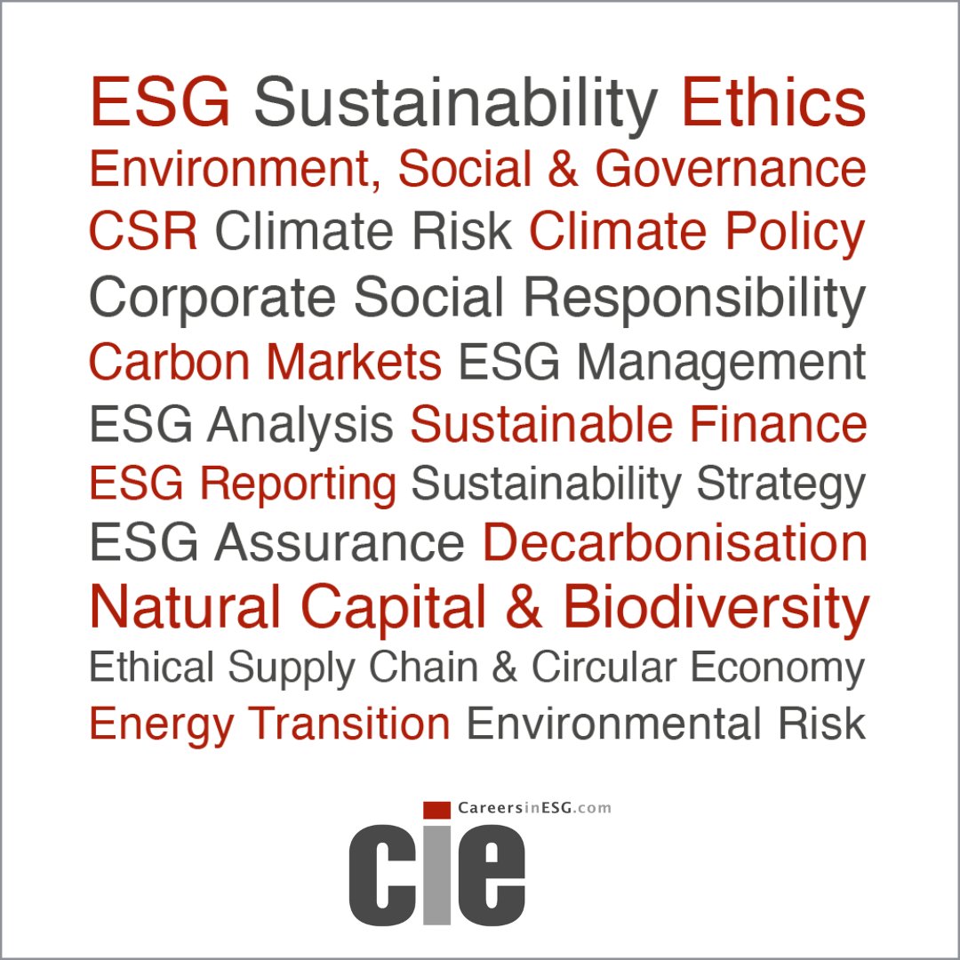 Looking for a new #ESG or #Sustainability role? Sign up for a job alert and we'll email you new roles that match your search so you can be one of the first to apply: eu1.hubs.ly/H02NBYg0

#JobSearch #JobHunt #ESGJobs #SustainabilityJobs #EnvironmentalJobs
