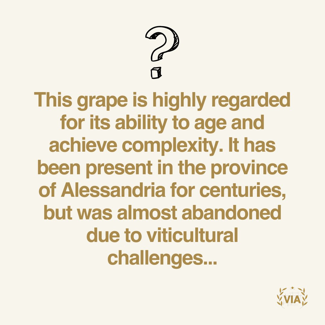 VinitalyTour's tweet photo. Happy Monday to our #VIACommunity 👋🥂
#GrapeChallenge: what's the Italian grape? Leave your guesses below go go go 🔥
source: Italian Wine Unplugged 2.0
#italiangrape #winequiz #italianwine #winelovers #winestudy #iwa @ItalianWineBook @steviekim222 https://t.co/g77VFymzh1