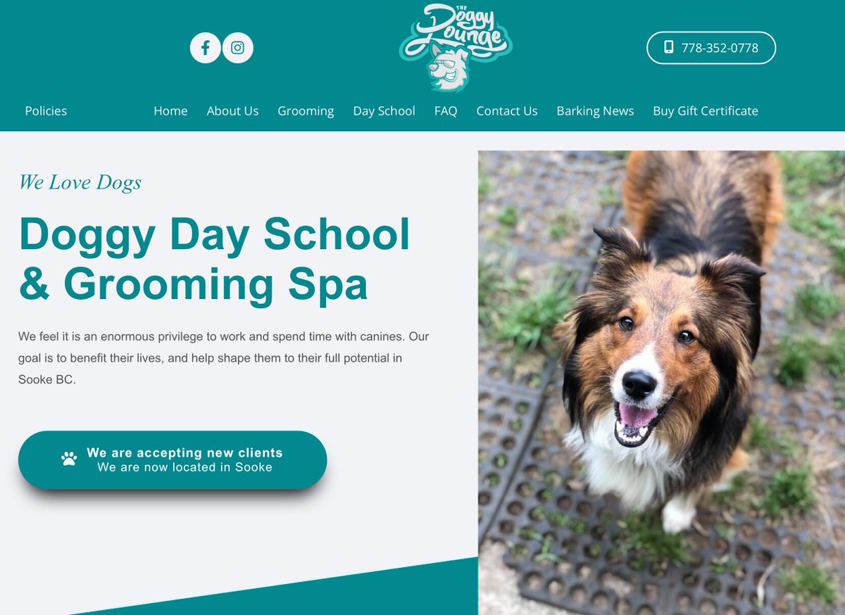 After new website they fully booked appts! thedoggylounge.ca
-
#doggrooming #doggroomers #petgrooming #dogcare #puppystyling #dogclipper #dogsalon #dogbeauty #doglovers #explorevictoria #victoriabc #victoriabuzz #victoriascene #lovevictoria #cityofvictoria