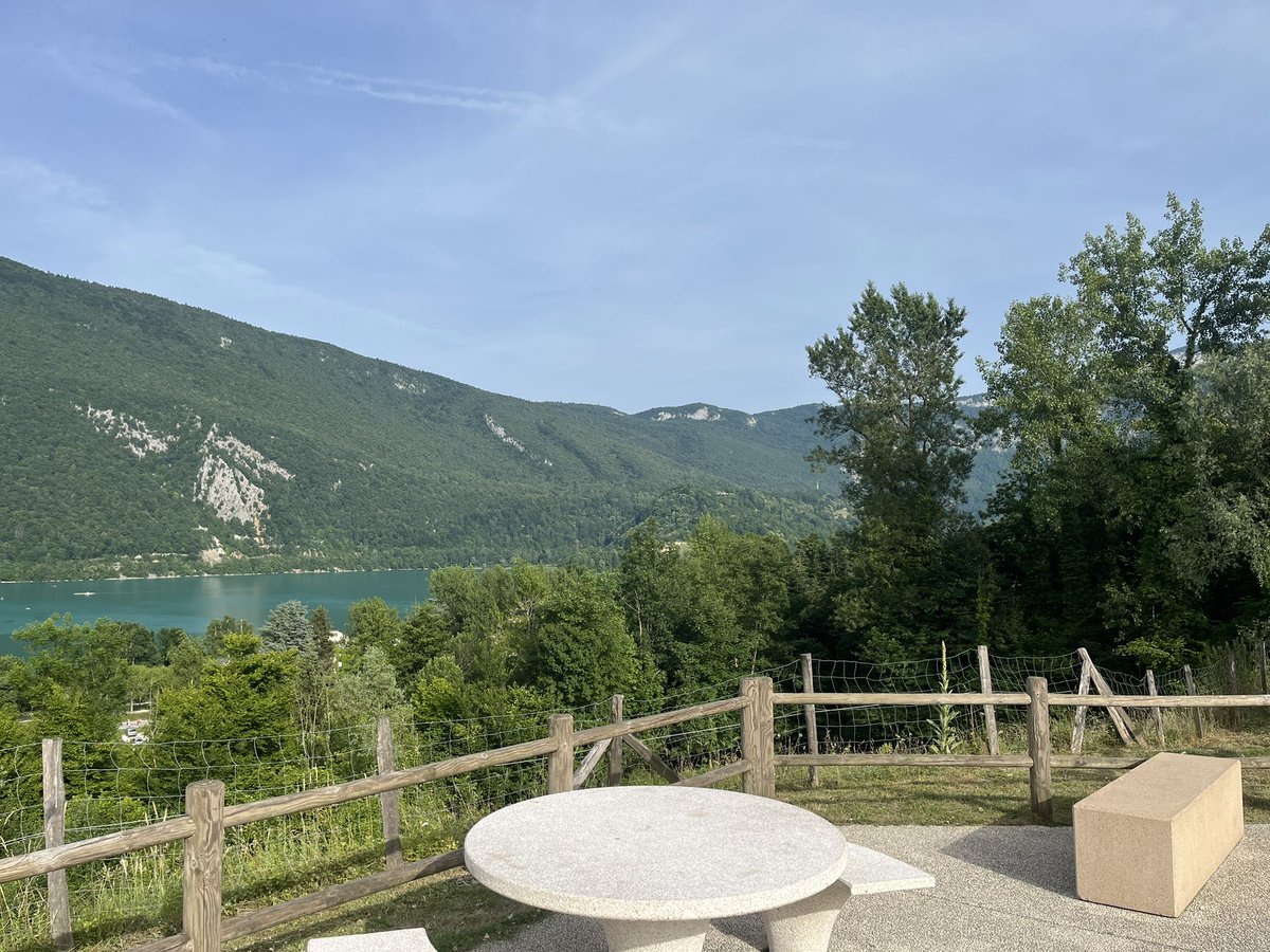 Here is a riddle for you❕

I have cities, but no houses. I have mountains, but no trees. I have water, but no fish. What am I?

Waiting for your answers🤍🤍🤍