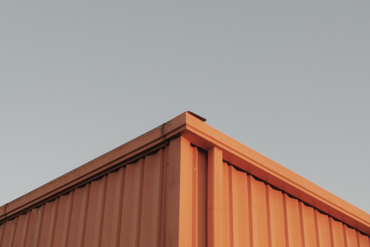 Kelsey Smith 💛🎞️ tweet media