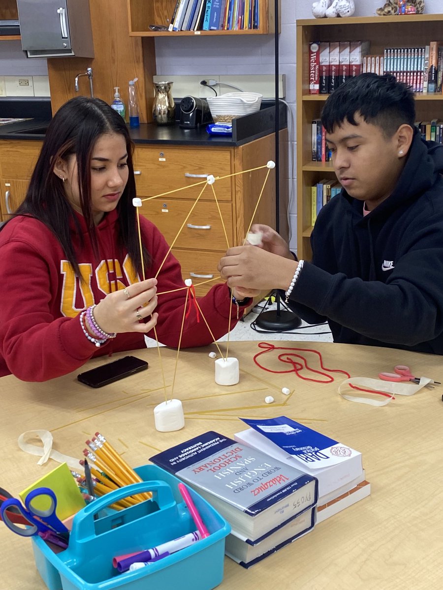 Michelle Allo tweet media