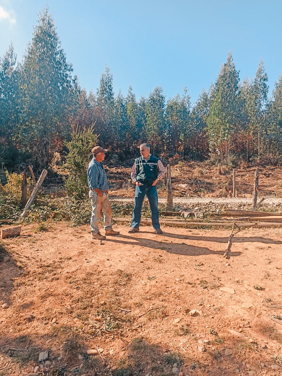 EnergiaLosRios's tweet photo. Por instrucción de la delegada @carlapenarios la seremi @ClaudiaLopetegu junto a su par @MinagriCL estuvieron junto a la sra. Hilda de Posta #Morrompulli,sra Maria sector LasColoradas y don Saúl de La Plata, Paillaco;para coordinar ayuda y monitorear estado de la zona #valdiviacl https://t.co/mvHPAzXiwe