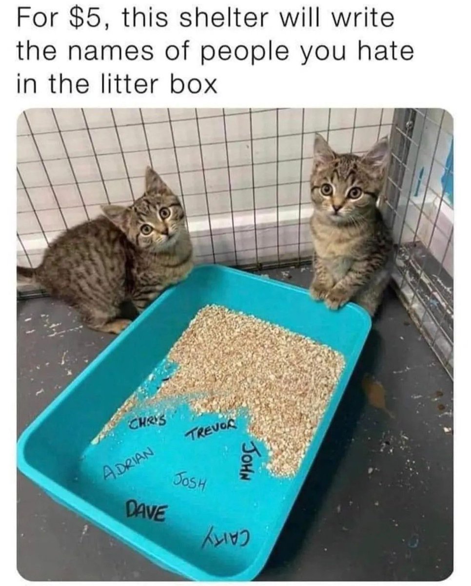 Moeten ze hier ook invoeren <a href="/Dierbescherming/">Dierenbescherming</a>!