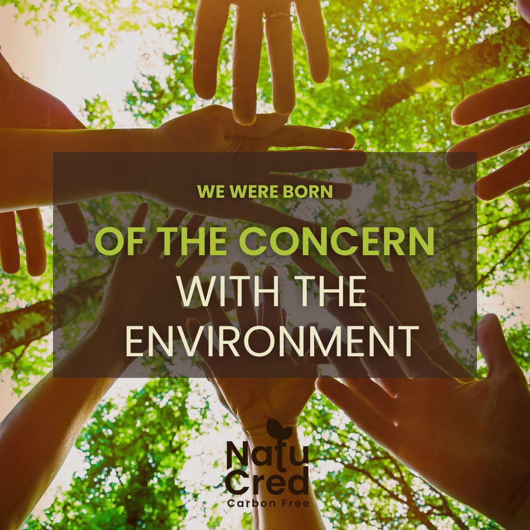 NatuCred - Carbon Free tweet media