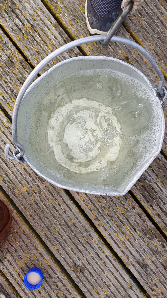 S12M0623 15:11 3,8°C SAL 8,5