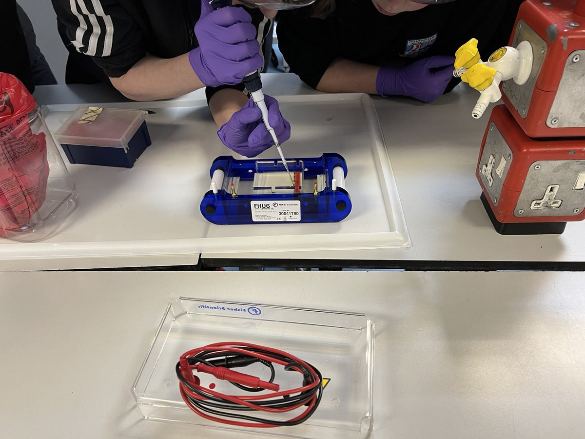PTAchievement's tweet photo. Fantastic to have the @accessrgu Northern Lights programme starting again. Today our S1s learned about blood testing and DNA extraction run by @RGUPALS Thank you! #aspiretobeoutstanding https://t.co/AXPh9s8ebv