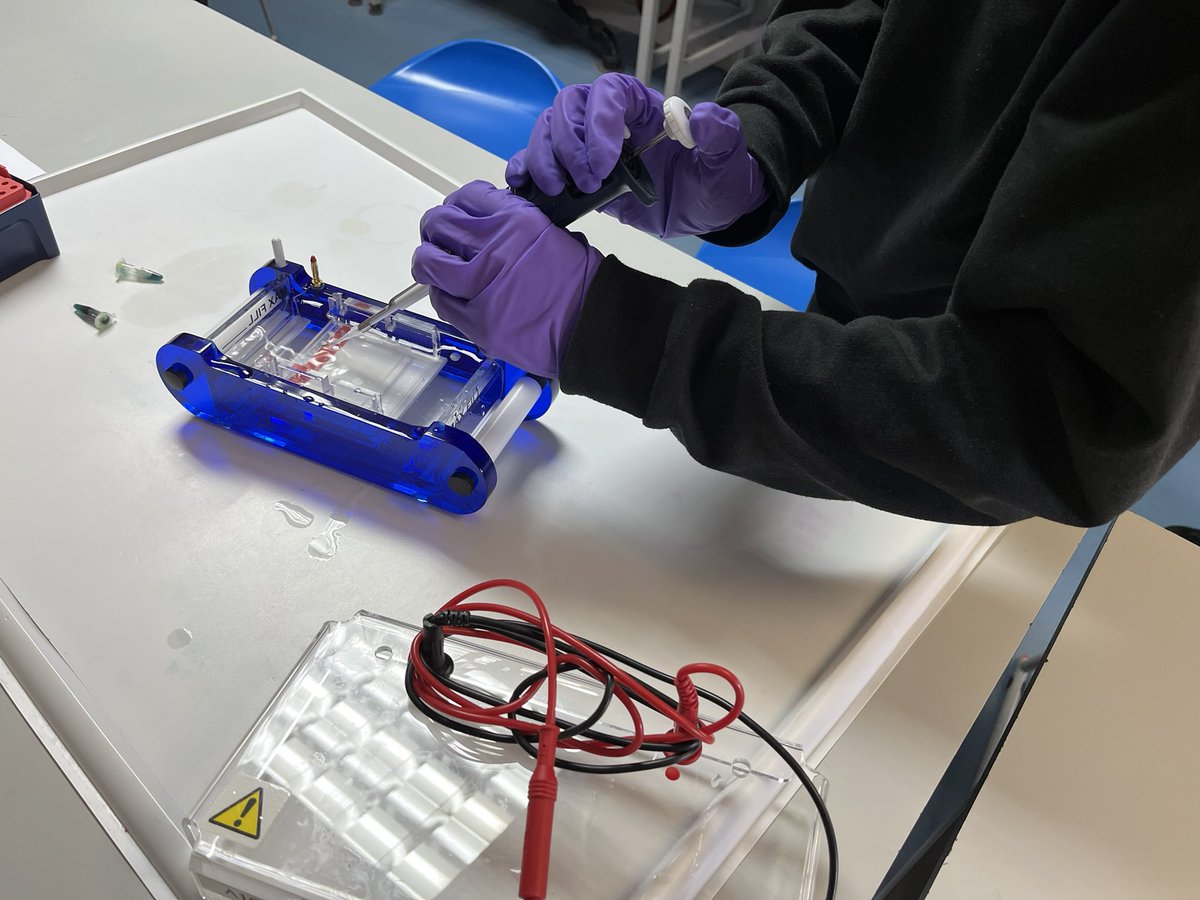 PTAchievement's tweet photo. Fantastic to have the @accessrgu Northern Lights programme starting again. Today our S1s learned about blood testing and DNA extraction run by @RGUPALS Thank you! #aspiretobeoutstanding https://t.co/AXPh9s8ebv