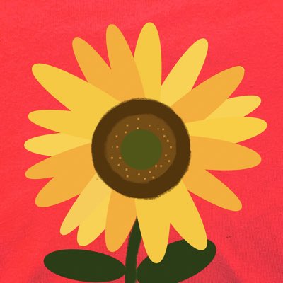 #ปล่อยให้ดอกทานตะวันได้รับแสง
#คืนสิทธิประกันตัว
#ตะวันแบม
#สิทธิโชค