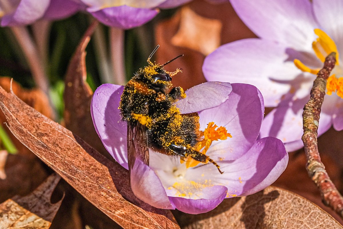 Simon Maycock tweet media