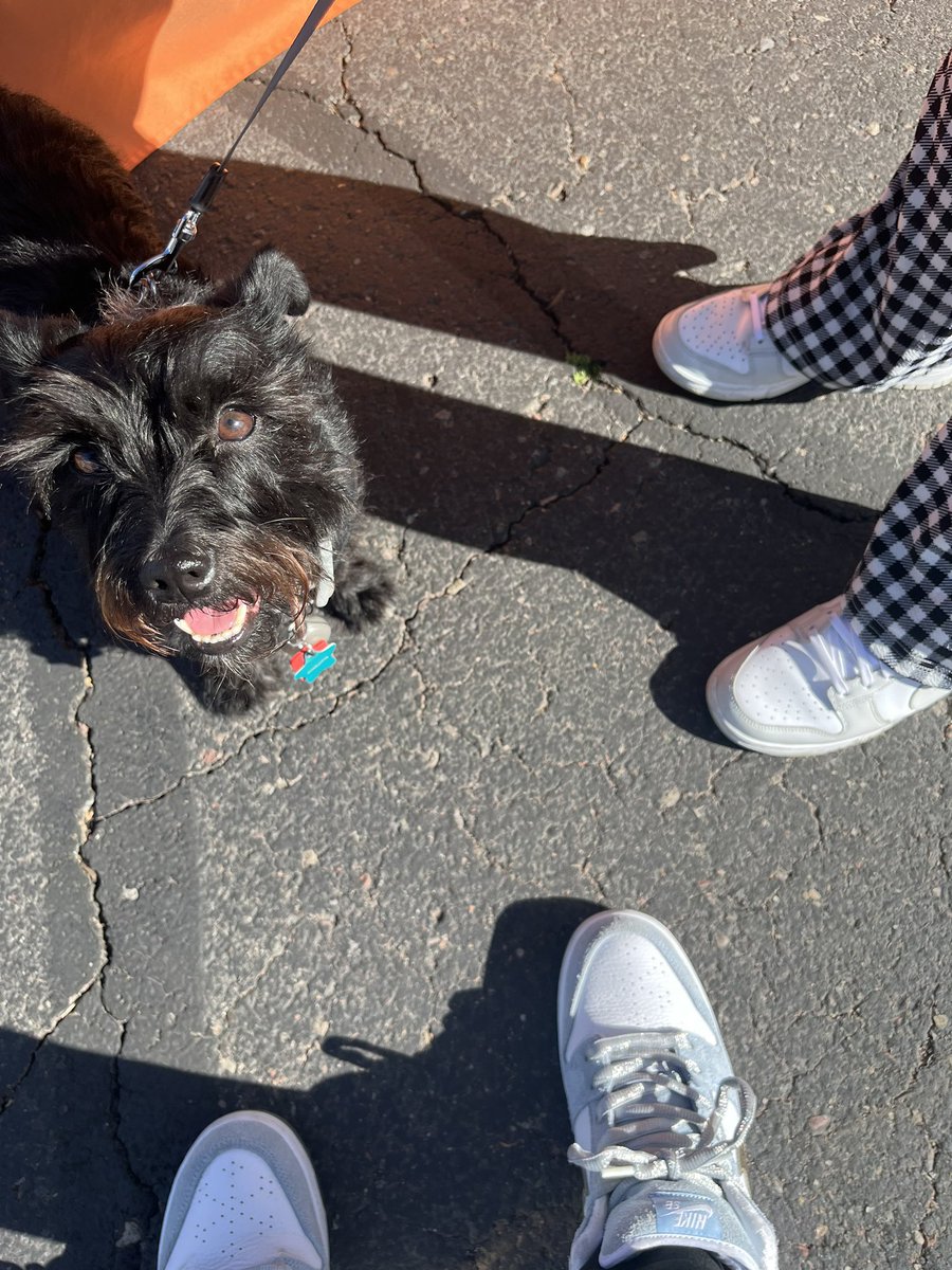 sheldeeen's tweet photo. 🎨🐕‍🦺🍕🎧 https://t.co/q1FVYPNRLr