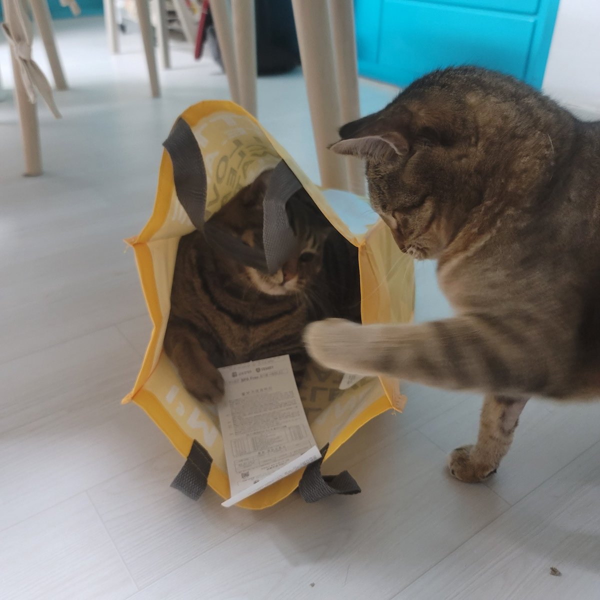 영수증 필요하세요?

                                     아 넵 주세용