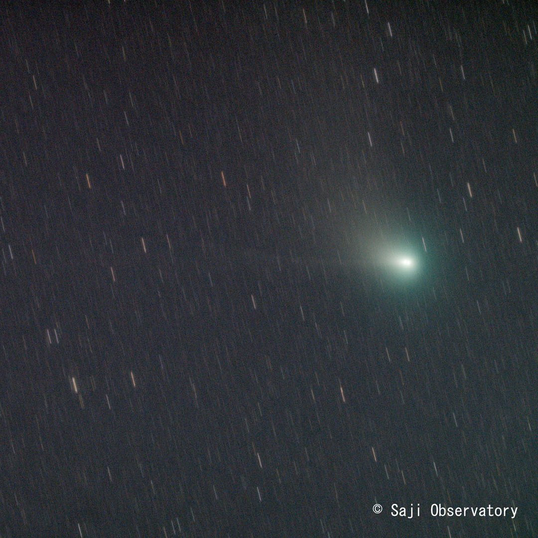 2月3日と5日の #ZTF彗星 です。月明かりの中、無理やり撮影しましたが、淡く長い尾が確認できます。焦点距離500㎜の屈折望遠鏡での撮影です。#さじアストロパーク #星取県 #鳥取市 #CometZTF