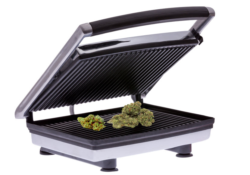 CannaWorld4's tweet photo. @DollHouseKiera @PieterHog A Canadian Senator wouldn't just make up a story like that ๐but one might have to pay royalties to little Johnny here :)
#NicelyToasted https://t.co/caM1hPb9rQ