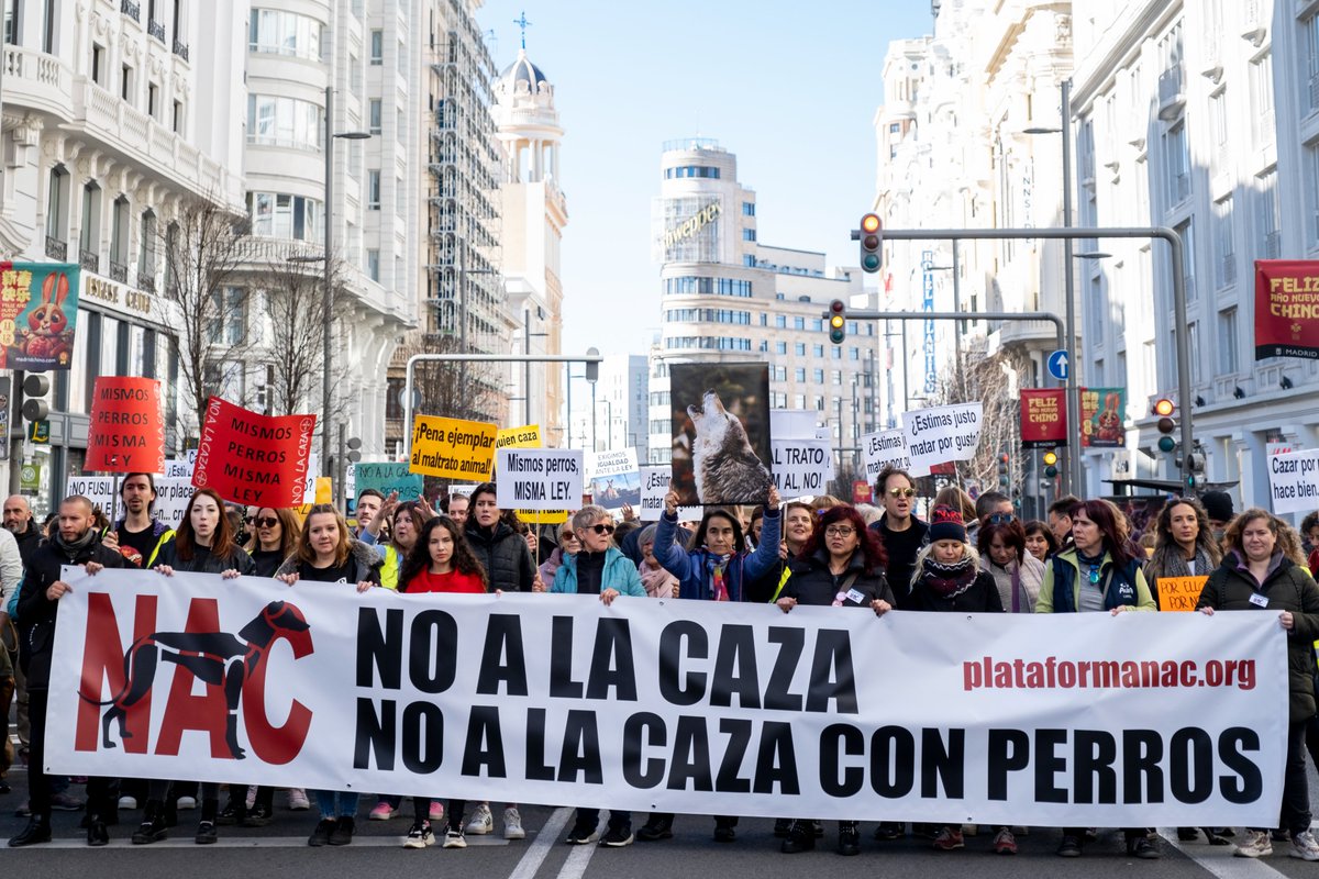 España quiere una ley que proteja también a los perros de caza

<a href="/sanchezcastejon/">Pedro Sánchez</a> <a href="/psoe/">PSOE</a> <a href="/gpscongreso/">PSOE Congreso</a> <a href="/desdelamoncloa/">La Moncloa</a>
#SánchezConElMaltratoAnimal