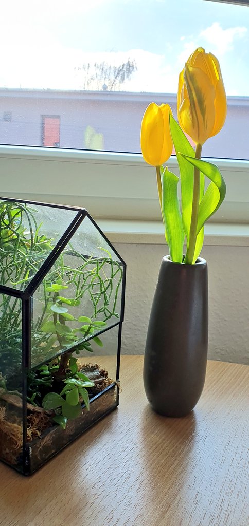 uhlon_dohlenko's tweet image. Working from home today to meet students online and discuss their fantastic project ideas #LastWeekOfTerm #WinterIsOver