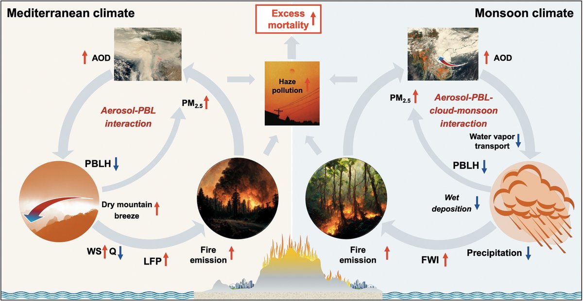 Wildfire smoke affects local weather, creating conditions that accelerate wildfire expansion and air pollution exposure at a regional scale, a new Science study finds. The results could be used to help inform wildfire mitigation strategies. scim.ag/1q2