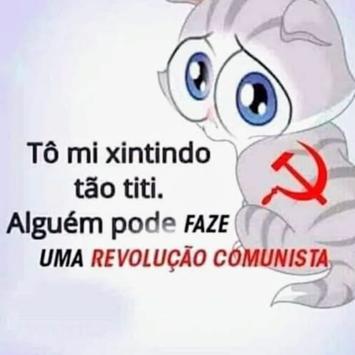 curadoriacomuna's tweet photo. https://t.co/sGr5lY22UK