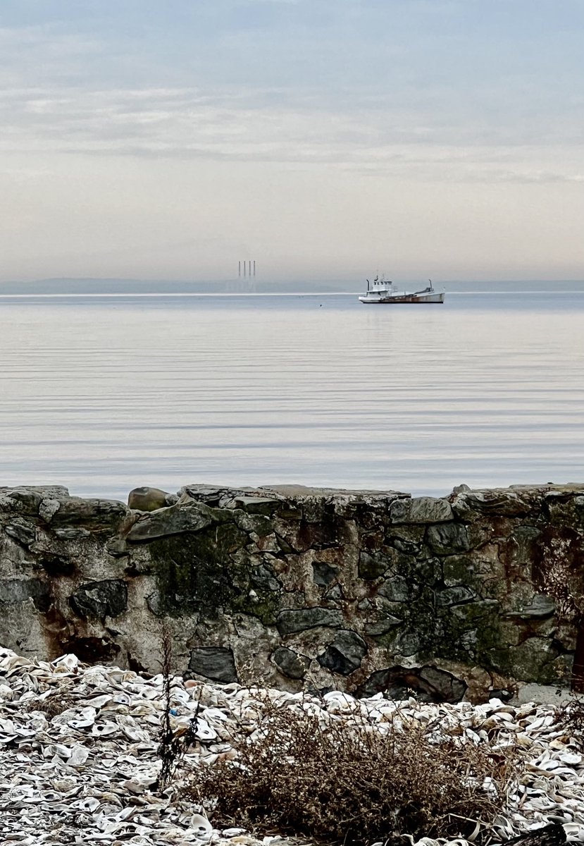 southportglobe's tweet photo. 39F at #SascoBeach on Monday #southportct #fairfieldct #longislandsound #shellfishing https://t.co/OvAJLvC5Vg