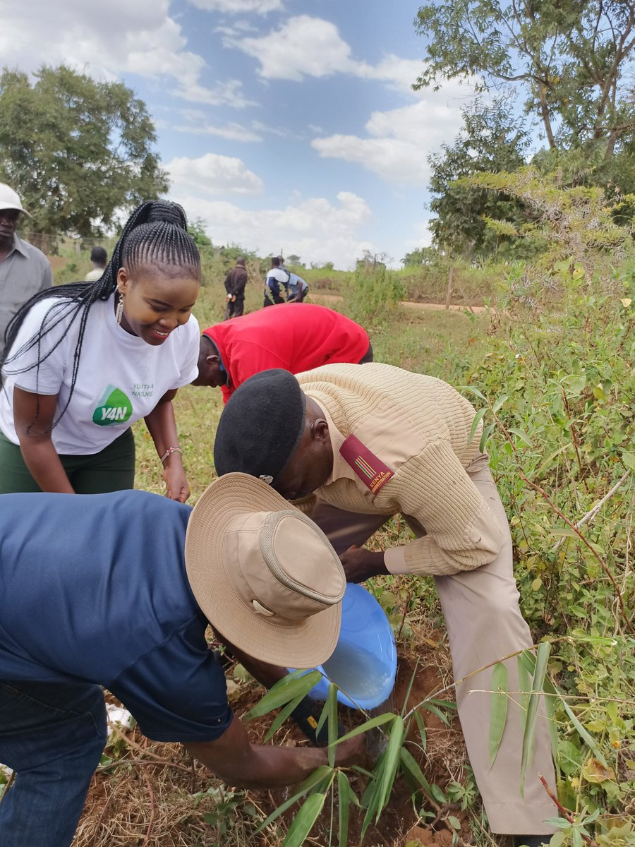 RLaibich's tweet photo. The talk towards 15billion trees has to be walked in actions. Restoration of simalavanu dam. We are part of the solution.
@UNEP_Africa @UNDPKenya @Environment_Ke @Stockholm50_Ke @SEIresearch @RamsarConv @UNESCO_MAB https://t.co/0IatuUrkf3