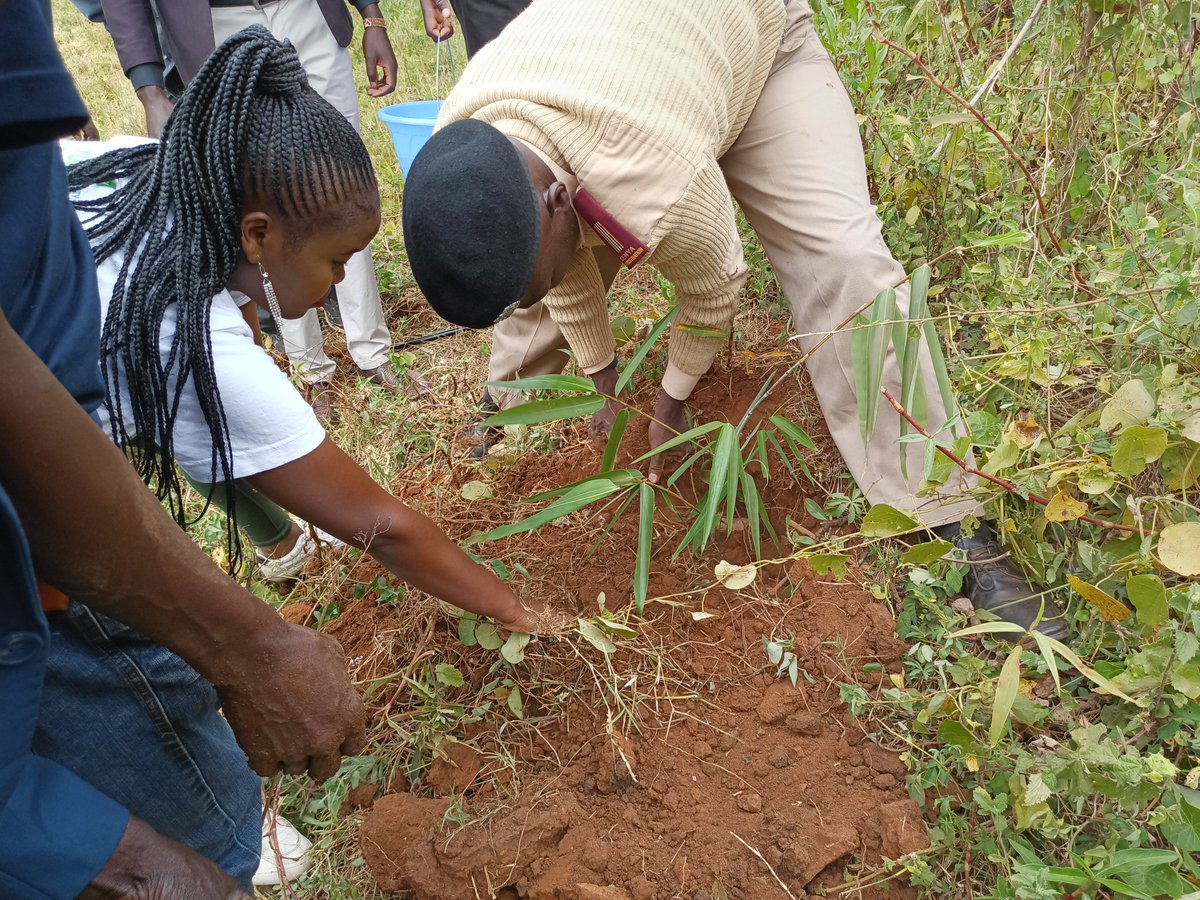 RLaibich's tweet photo. The talk towards 15billion trees has to be walked in actions. Restoration of simalavanu dam. We are part of the solution.
@UNEP_Africa @UNDPKenya @Environment_Ke @Stockholm50_Ke @SEIresearch @RamsarConv @UNESCO_MAB https://t.co/0IatuUrkf3