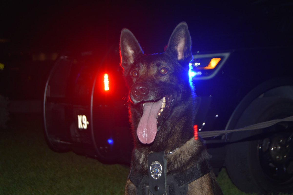 WestPalmPD's tweet photo. It is with great sadness that we announce the passing of retired #WPBPD K9 Thor who recently passed away with his handler, Officer Sniffen, by his side.
K9 Thor began in 2012. He was trained in criminal apprehension, explosive detection and community engagement. RIP K9 Thor πΎ https://t.co/iAiqAckowe