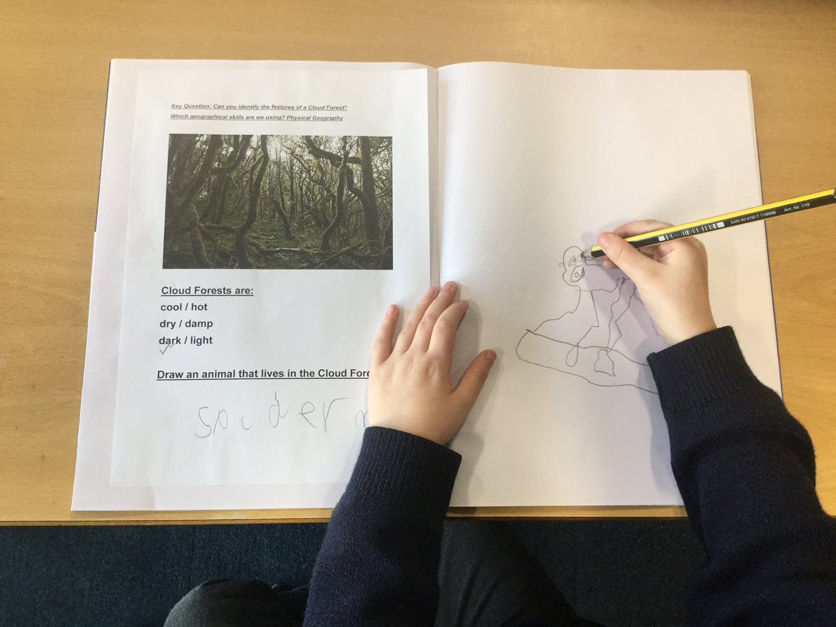 AHMrsGandMrsS's tweet photo. Learning all about the cloud forest in our 
Geography lesson this afternoon. “What is a cloud forest?” Shaylen answered “it’s a forest with lots of cloud and fog around it”
Lucas is hard at work, we love his spider monkey that lives in the cloud forest.@AcreHall @BrightFuturesET https://t.co/IpvQdu92df