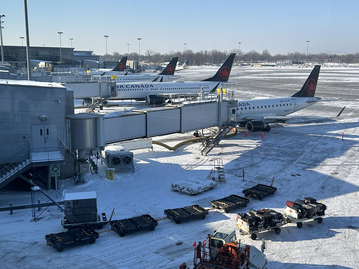 JoshTGordon's tweet photo. Eeny, meeny, miny, moe - couple of nice tails to choose from this morning @AirCanada #YUL https://t.co/TaOS1QnGLf