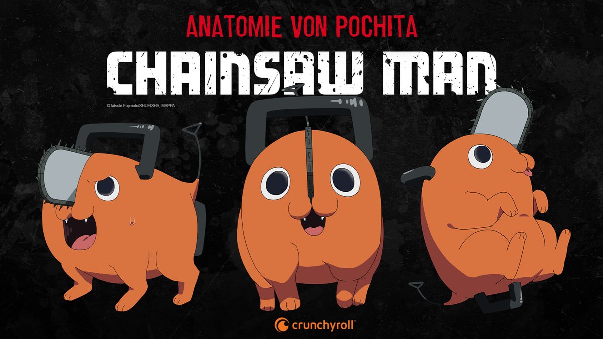 NEWS:
Pochita aus Chainsaw Man wurde von einem Wildtierbiologen analysiert (<a href="/ChainsawMan_DE/">Chainsaw Man DE</a>)

✨ MEHR: got.cr/3jttGbL