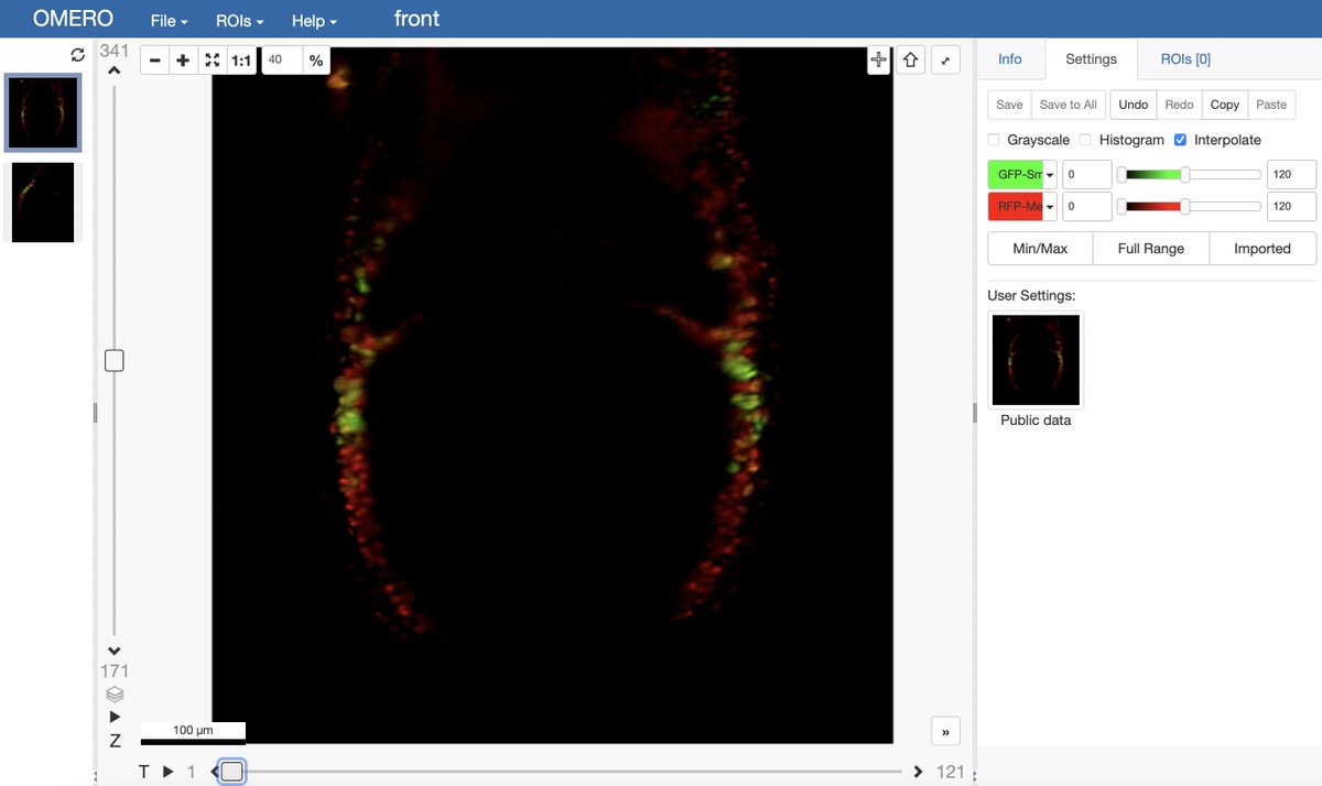 IDR News (@idrnews) on Twitter photo IDR releases new #lightsheet fluorescence data from the recently published authors.elsevier.com/c/1gX1iL7PXmbNG by Dominguez et al <a href="/benoitbruneau/">Benoit Bruneau</a>
idr.openmicroscopy.org/search/?query=… IDR releases new #lightsheet fluorescence data from the recently published authors.elsevier.com/c/1gX1iL7PXmbNG by Dominguez et al <a href="/benoitbruneau/">Benoit Bruneau</a>
idr.openmicroscopy.org/search/?query=…