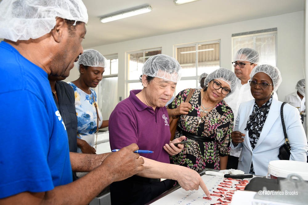 FAO in the Caribbean (@faocaribbean) on Twitter photo 🚨#NOW
<a href="/FAODG/">FAO Director-General QU Dongyu</a> visits Bridgetown Fishing Complex to learn about the details of a fish silage project implemented by <a href="/FAOCaribbean/">FAO in the Caribbean</a> in Barbados. 🚨#NOW
<a href="/FAODG/">FAO Director-General QU Dongyu</a> visits Bridgetown Fishing Complex to learn about the details of a fish silage project implemented by <a href="/FAOCaribbean/">FAO in the Caribbean</a> in Barbados.
