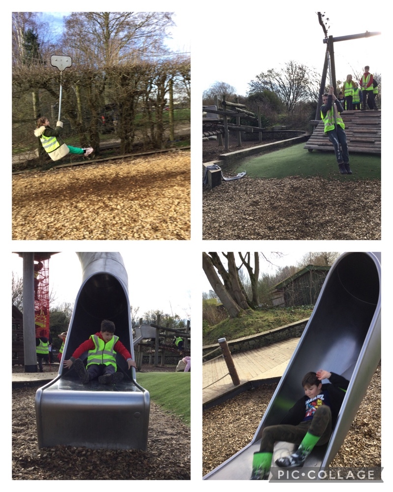 StrettonStMatts's tweet photo. Year 5 had a fantastic time at @WWTMartinMere. We learnt about plastic pollution entering food chains and how this impacts on the wild and us. We also considered ways to reduce the effects of this. We then took a walk through the wetland centre! #ssmgeography #ssm https://t.co/YVXyvQhwSp