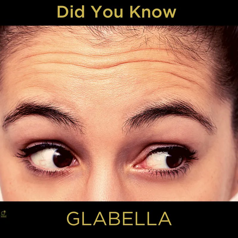 Did you know that the space between your eyebrows is called your glabella? 

Well, you do now ;)

#happymonday #didyouknow #funwordfacts #contentalchemy #creativewords