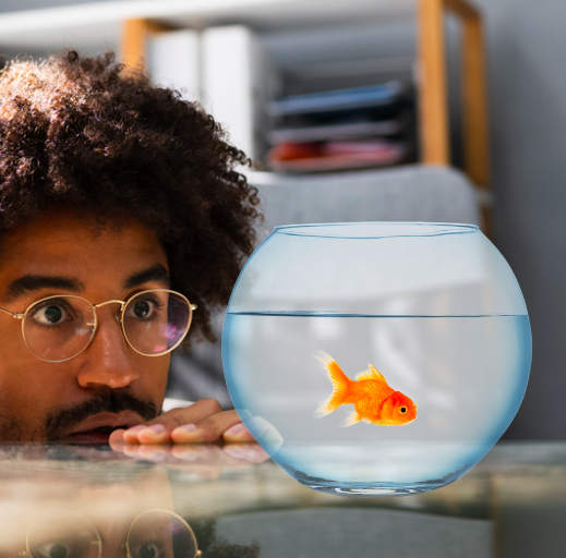 You broke up. 
She wanted a relationship with better communication or something like that (you dunno cause you weren't listening)
All that remains of the okayest 6 months of your life is Rafael, the goldfish. 
You hate Rafael.