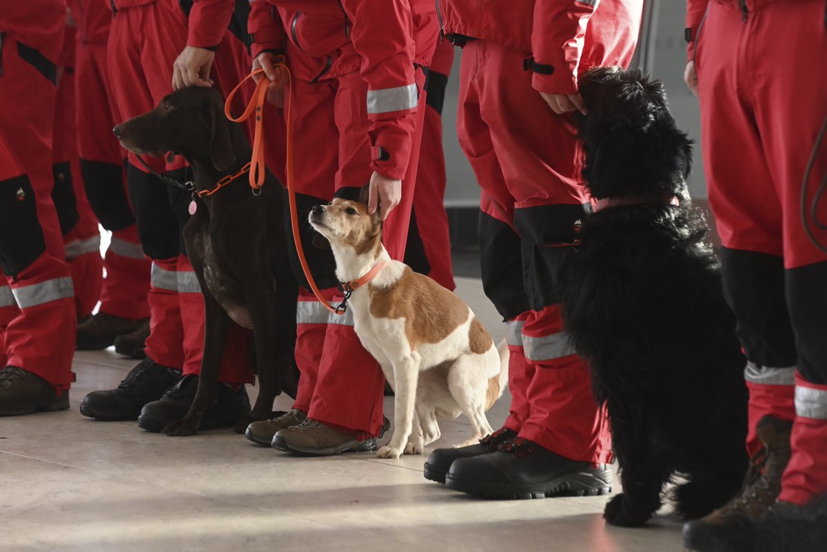 NBCNews's tweet photo. Czech firefighters and rescue teams prepare to fly to the earthquake-hit Turkey to help search for survivors. 

https://t.co/F4VgdaqPyN

📷 Jaroslav Ozana / CTK / AP https://t.co/JDWbT3nala