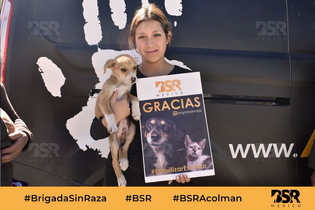 Brigada Sin Raza tweet media