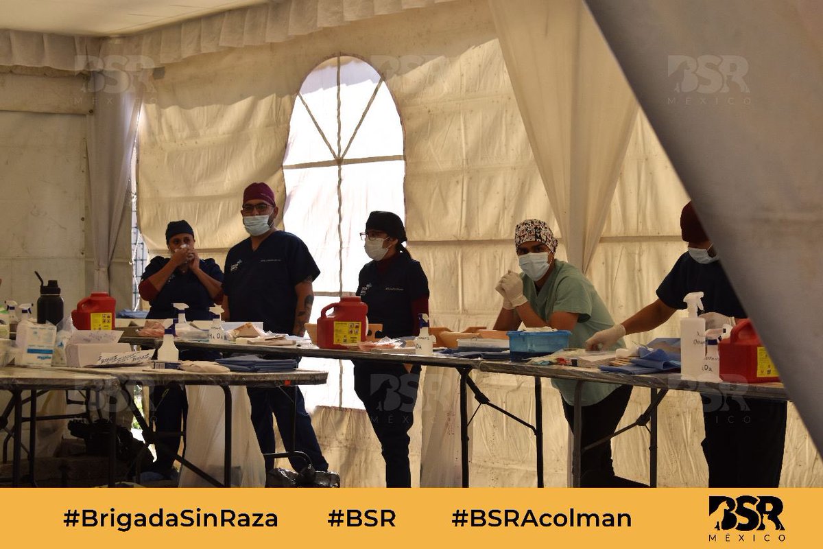 Brigada Sin Raza tweet media