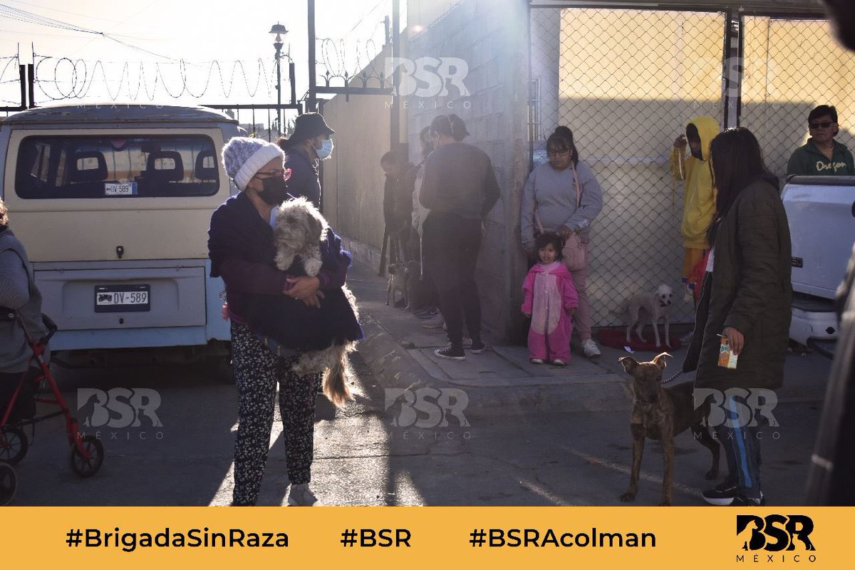Brigada Sin Raza tweet media