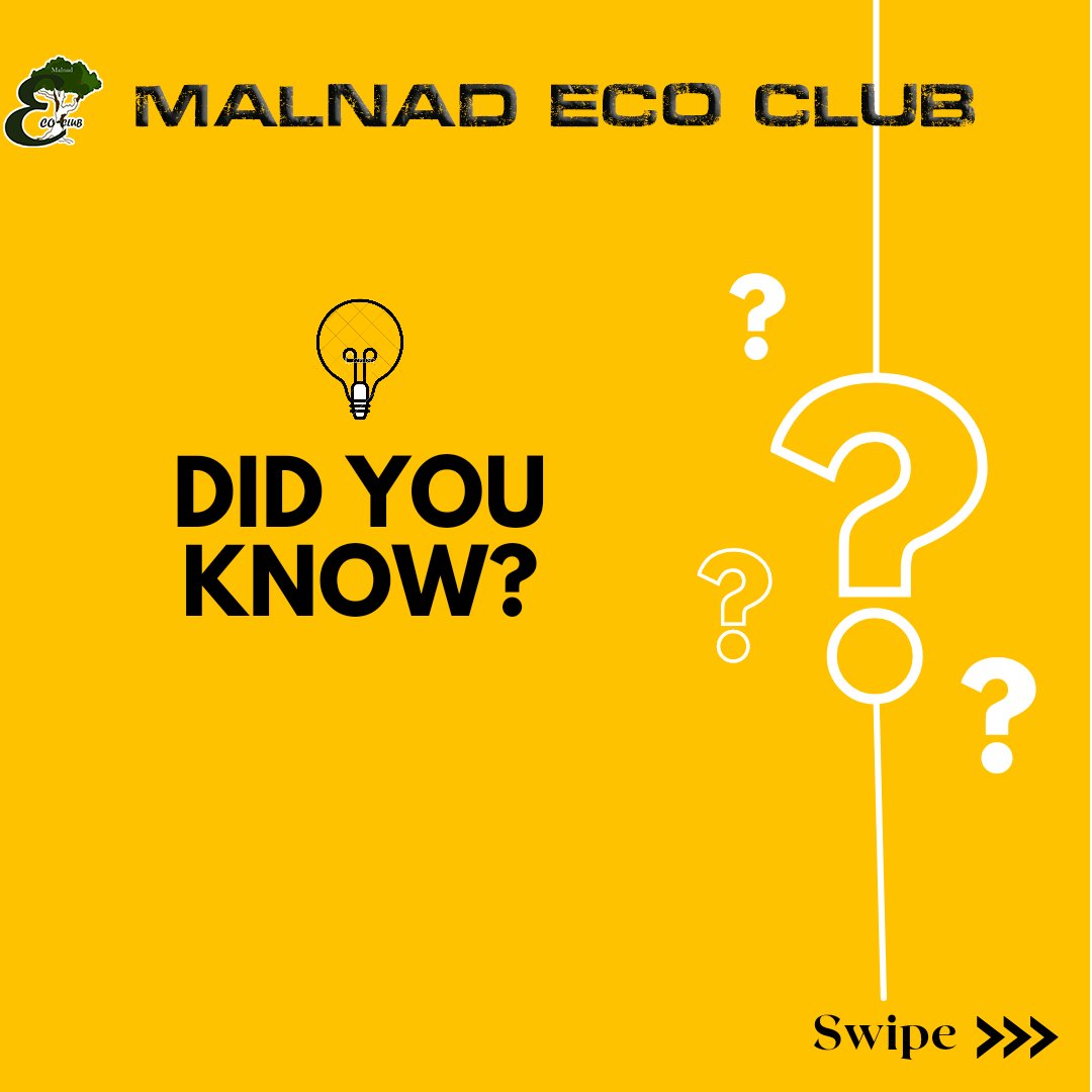 MalnadEcoClub's tweet photo. #wildlifeonearth #harleqinfrogs #golapaguspenguins #blackbears #animalevolution #malnadecoclub #malnadcollegeofengineering https://t.co/Qe1LukWdcl