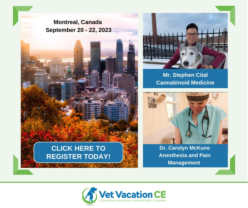 Earn 15 hours of RACE approved quality and practical veterinary CE while enjoying beautiful Montreal.  Our topics include Cannabinoid medicine and anesthesia/pain management. 
Sign up today: vetvacationce.com/product/montre…

#dvm  #Vetanesthesianerds #stephenninocital