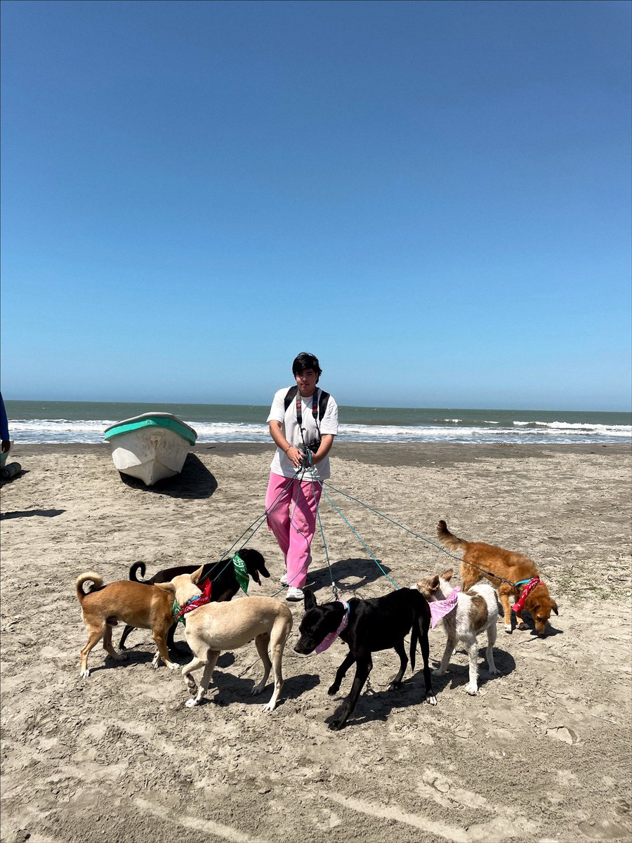 juaaaanki's tweet photo. mi labor social del fin de semana fue ir a una casa de perritos y hacerle fotos. 
😭. Están en adopción🫰🏻 https://t.co/rhvmgeJAnO